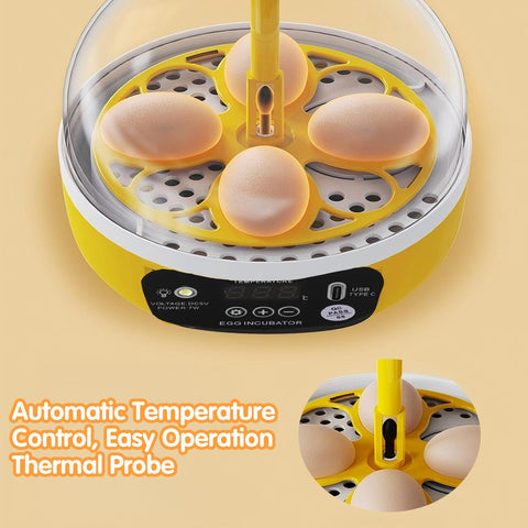 Tissting observation-friendly size 180x137 mm helps kid-friendly experiments