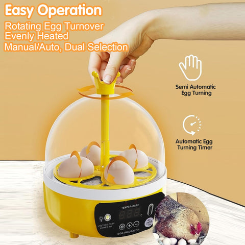 Tissting small poultry incubator supports eggs from chickens, ducks, and pigeons