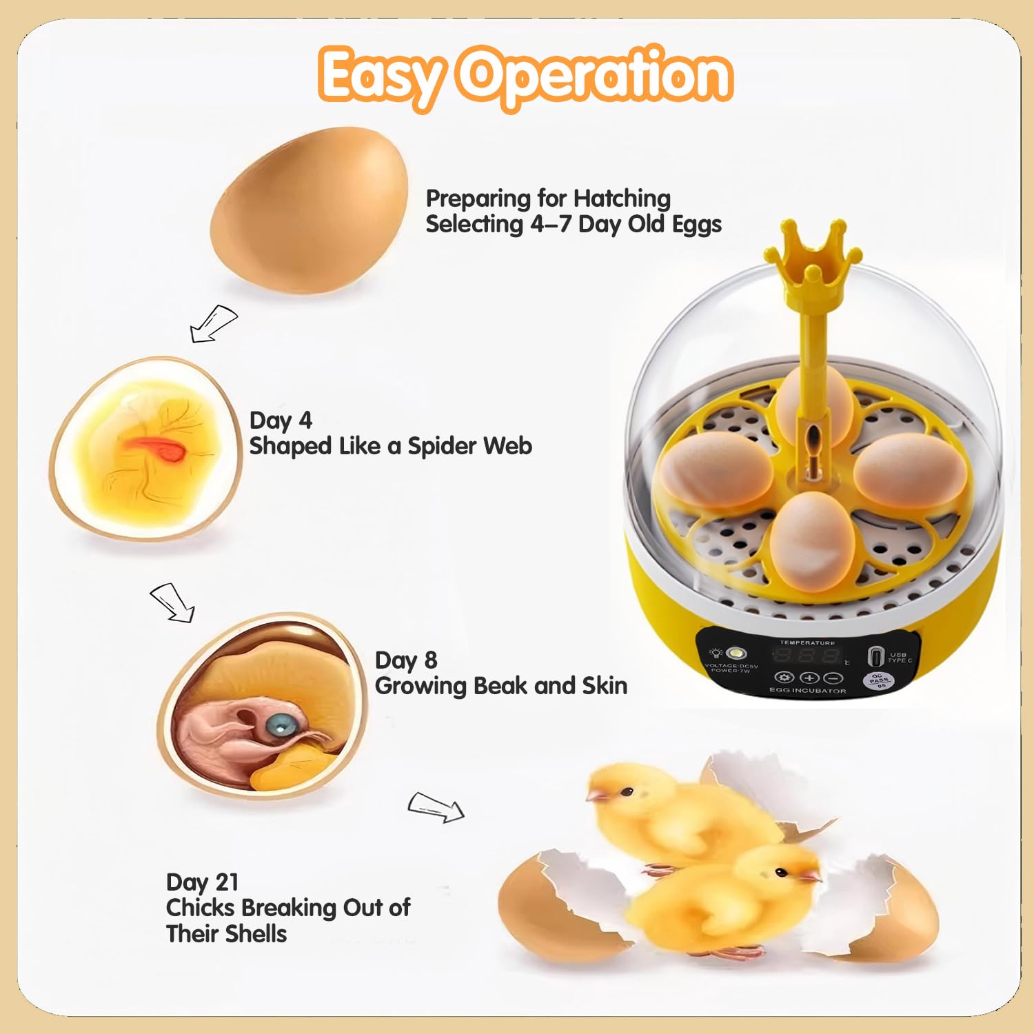 Tissting transparent lid lets you watch chick development and hatching progress