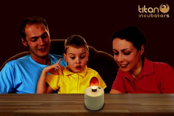 Titan Incubators ring shoulder fitting detail supports stable egg placement.