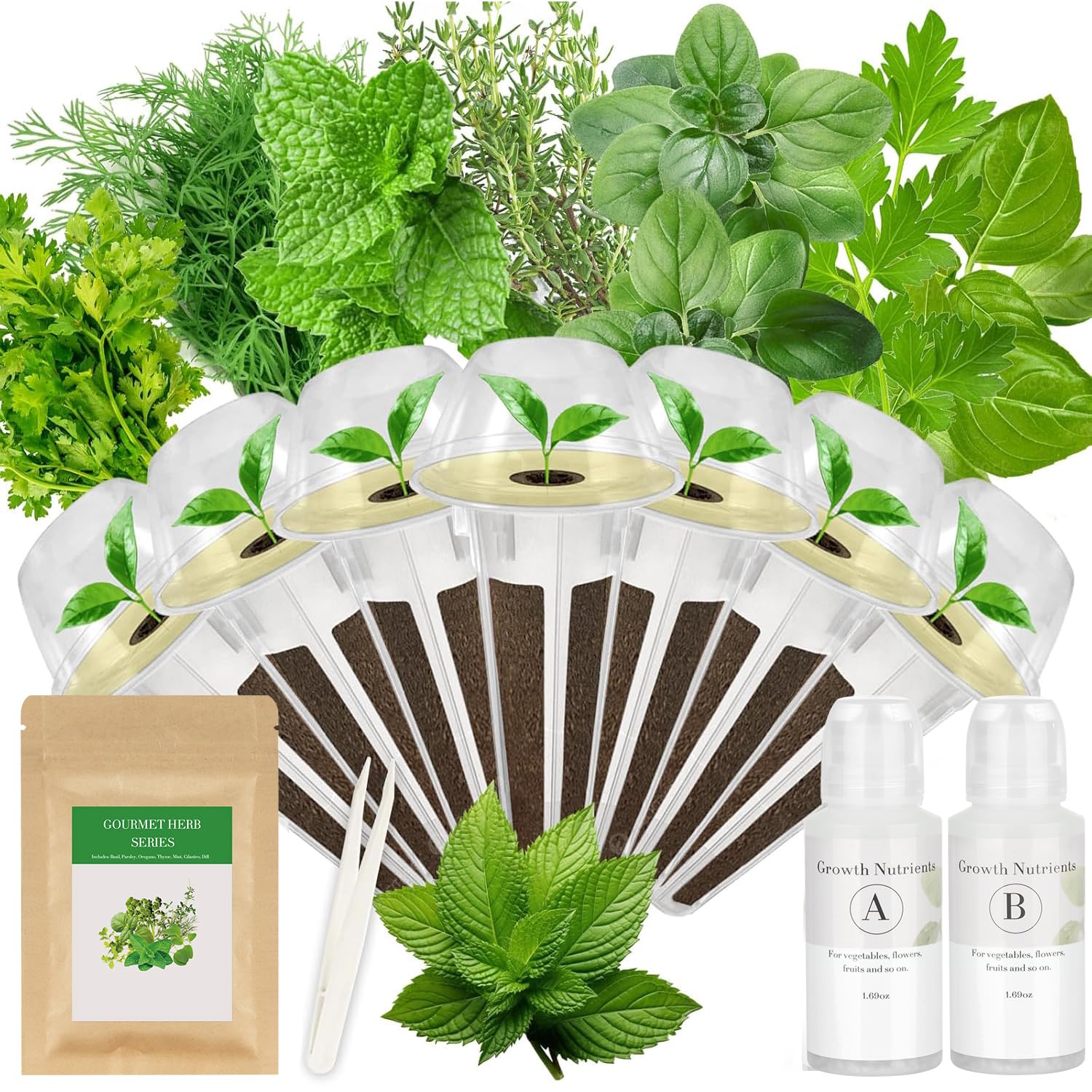 TitaniX gourmet seed pod kit basil—fresh, homegrown basil for weeknight pasta and salads.