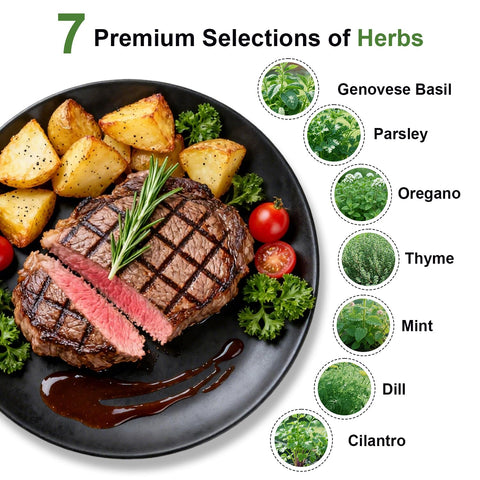 TitaniX gourmet seed pod kit thyme—savory notes for roasts and soups.