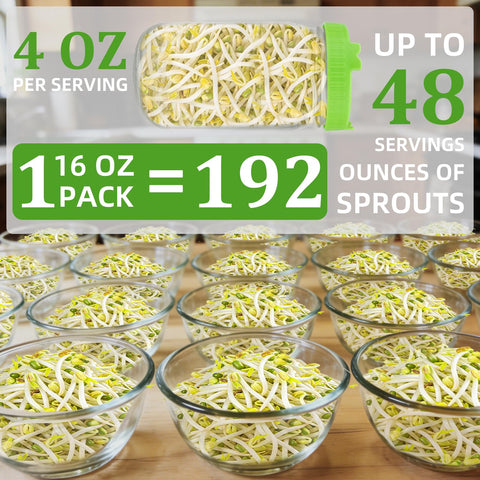 TitaniX mung bean seeds soaking in a jar for quick prep.