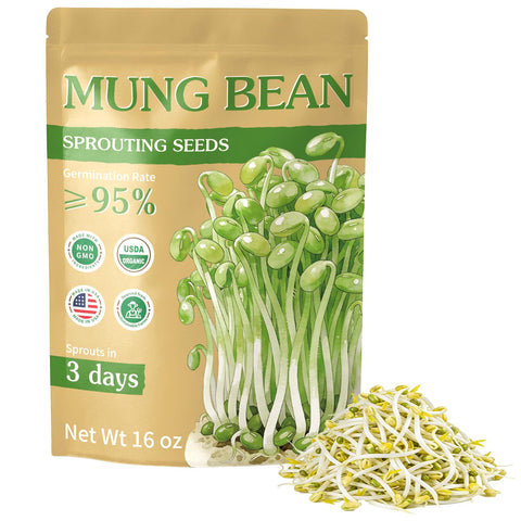 TitaniX organic mung bean sprout seeds in front view for home sprouting.