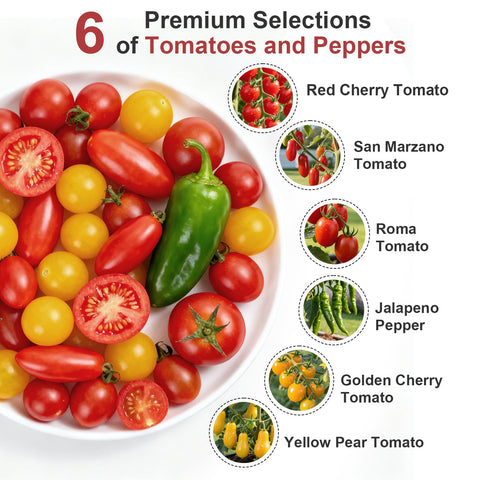 TitaniX heirloom seed varieties displayed: red, golden, and yellow tomato options.
