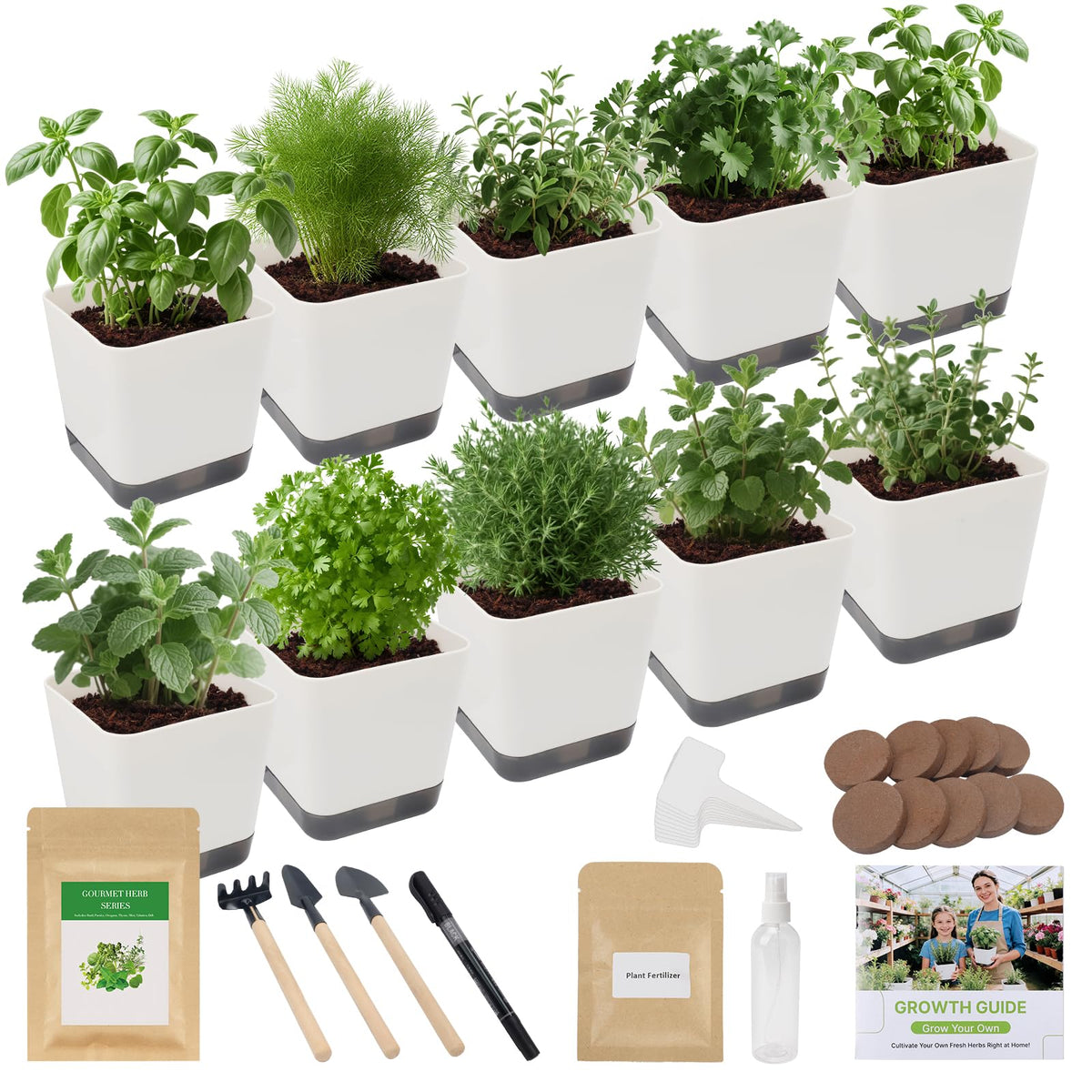 TitaniX 10-set indoor herb garden kit for easy growing