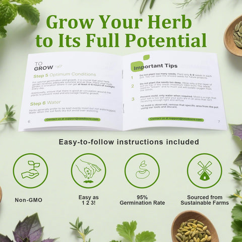 TitaniX beginner-friendly guide for simple home gardening