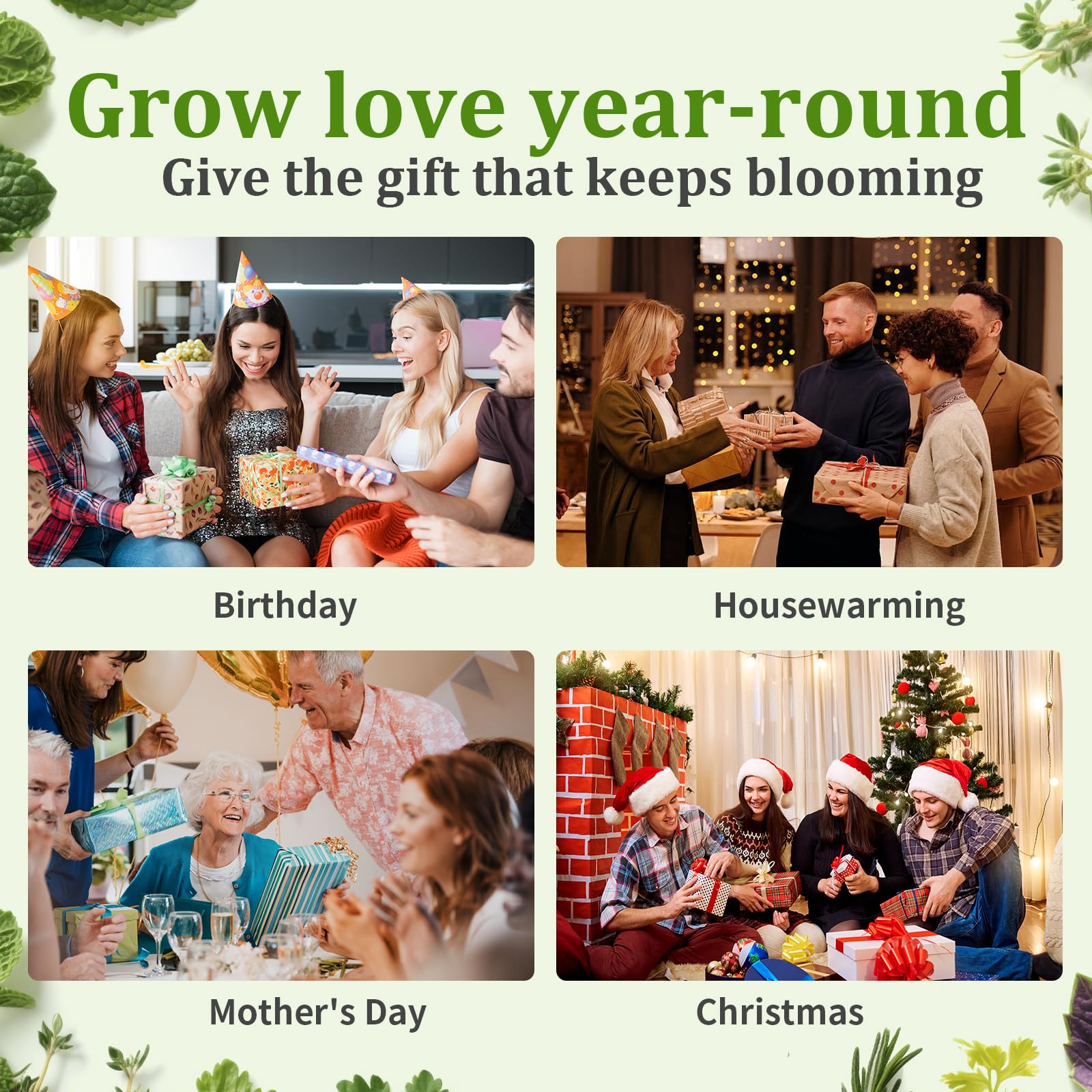 TitaniX gift-ready herb kit for cooking lovers