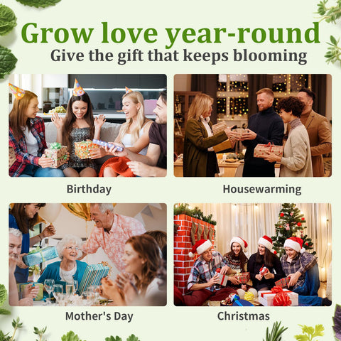 TitaniX gift-ready herb kit for cooking lovers