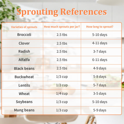 TitaniX stainless steel stand supports jars for steady sprouts at a glance
