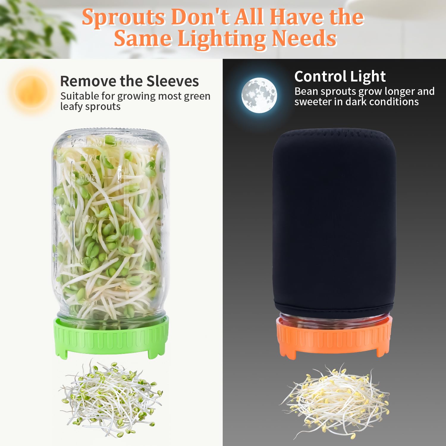 TitaniX two wide-mouth mason jars ready for efficient airflow and drainage for strong sprouts