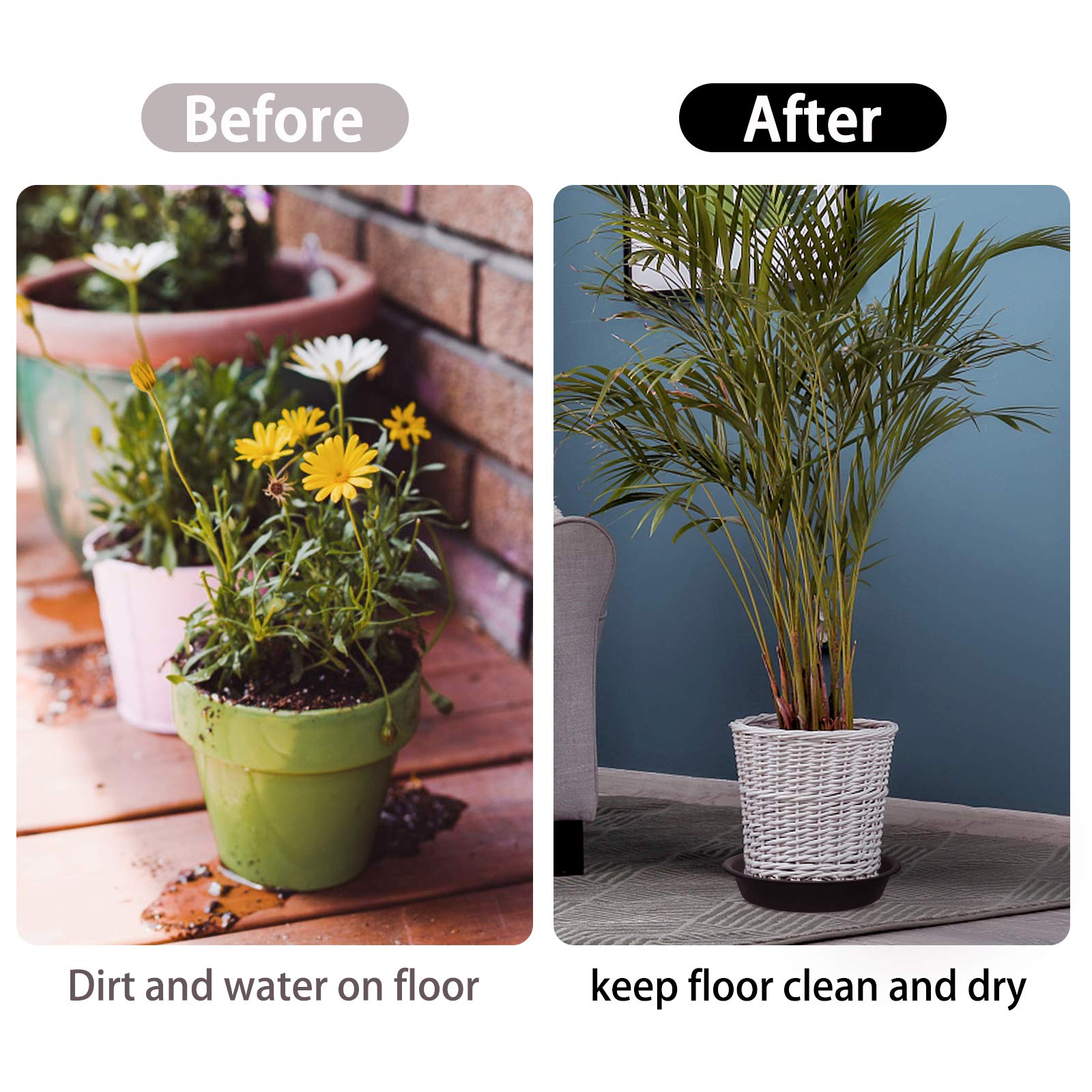TITE 3-pack plant saucer placed for indoor and outdoor versatility.