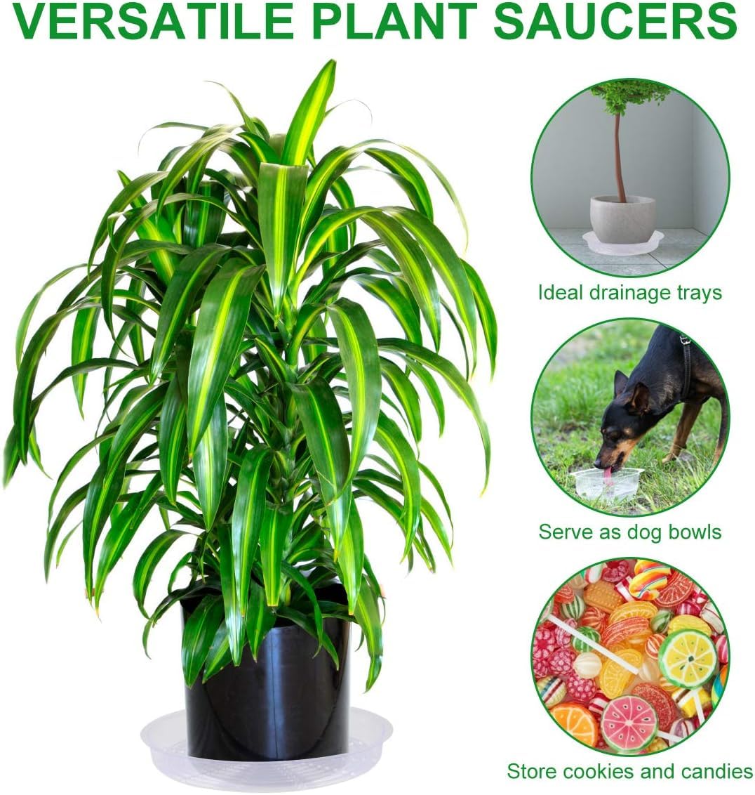 TITE plant saucer packaging features five durable trays for easy replacement.