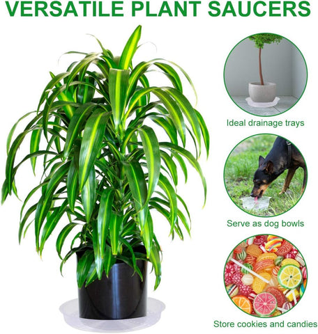 TITE plant saucer packaging features five durable trays for easy replacement.