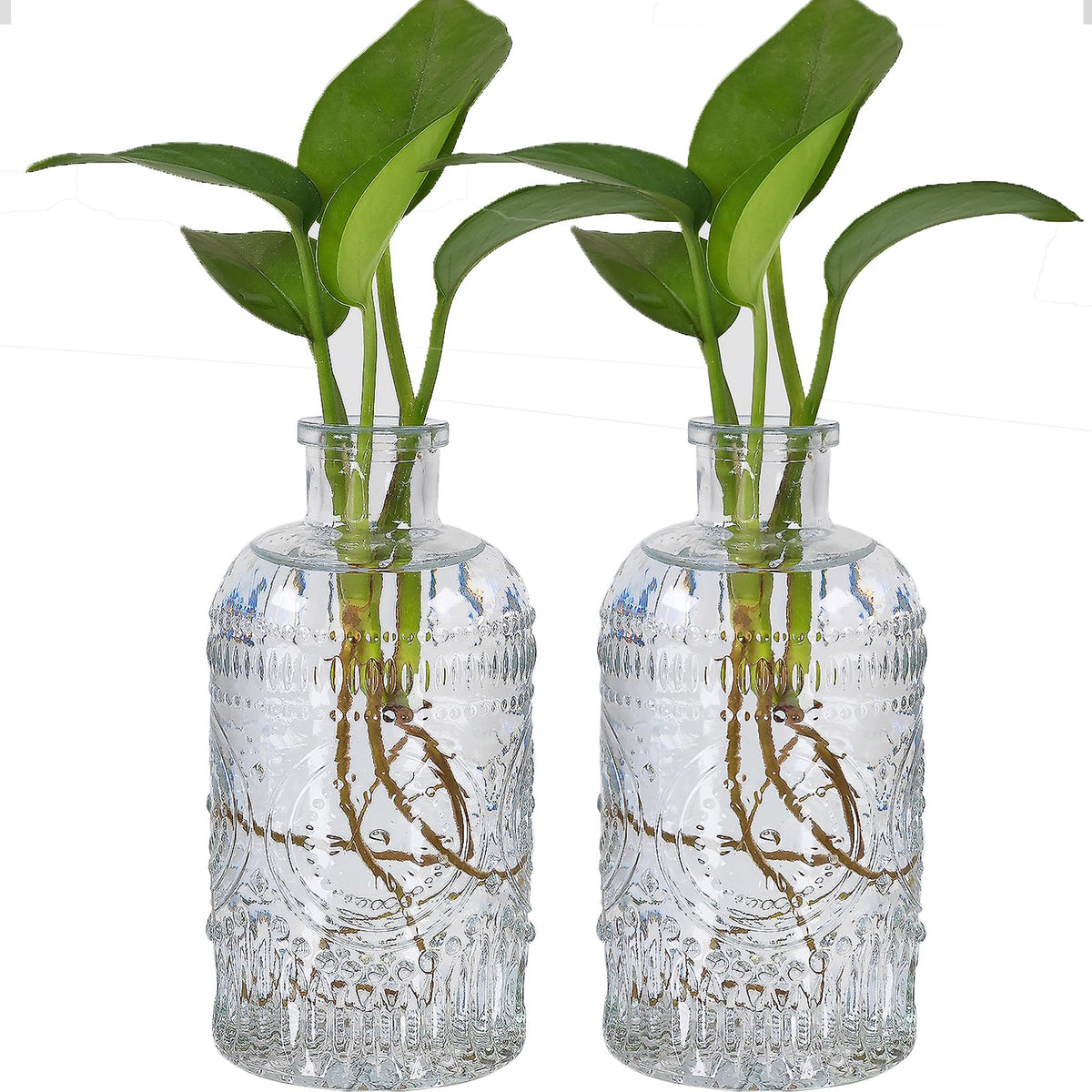TIWPAJS propagation vases with vintage relief pattern show roots clearly for observation and design.