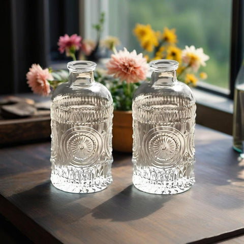TIWPAJS propagation vases pair supports versatile plant displays across spaces.