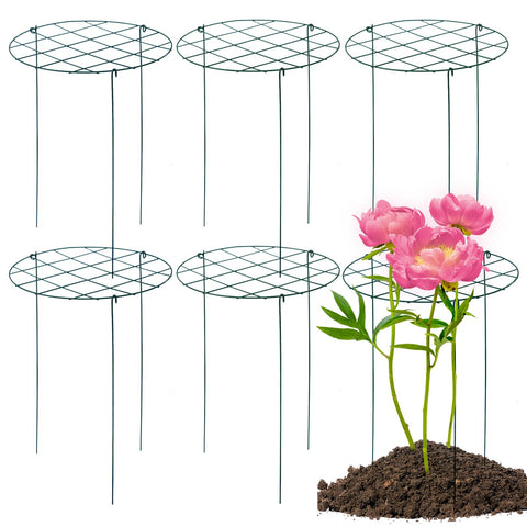 TIyneayle peony cage setup showing tall blooms supported for even growth.