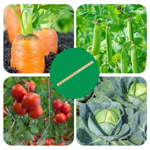 Tizee scientifically spaced marks guide even distribution for multiple crops.