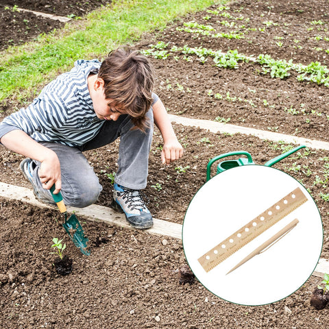 Tizee easy seed spacing in action for veggie beds