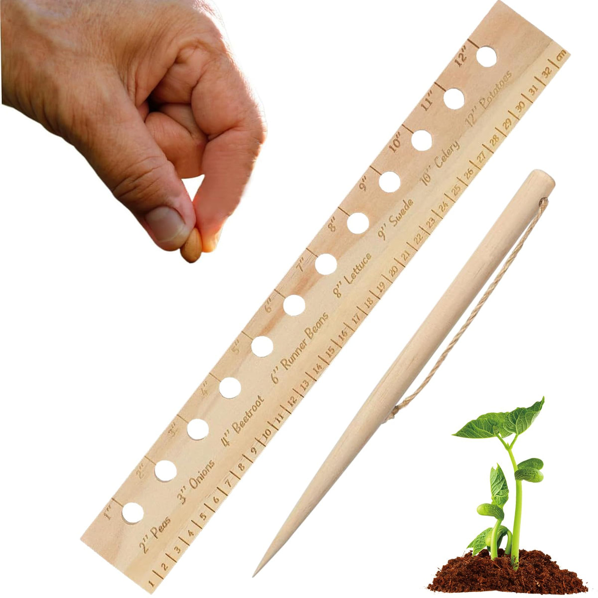 Tizee spacer tool seeder displaying precise seed spacing for even germination
