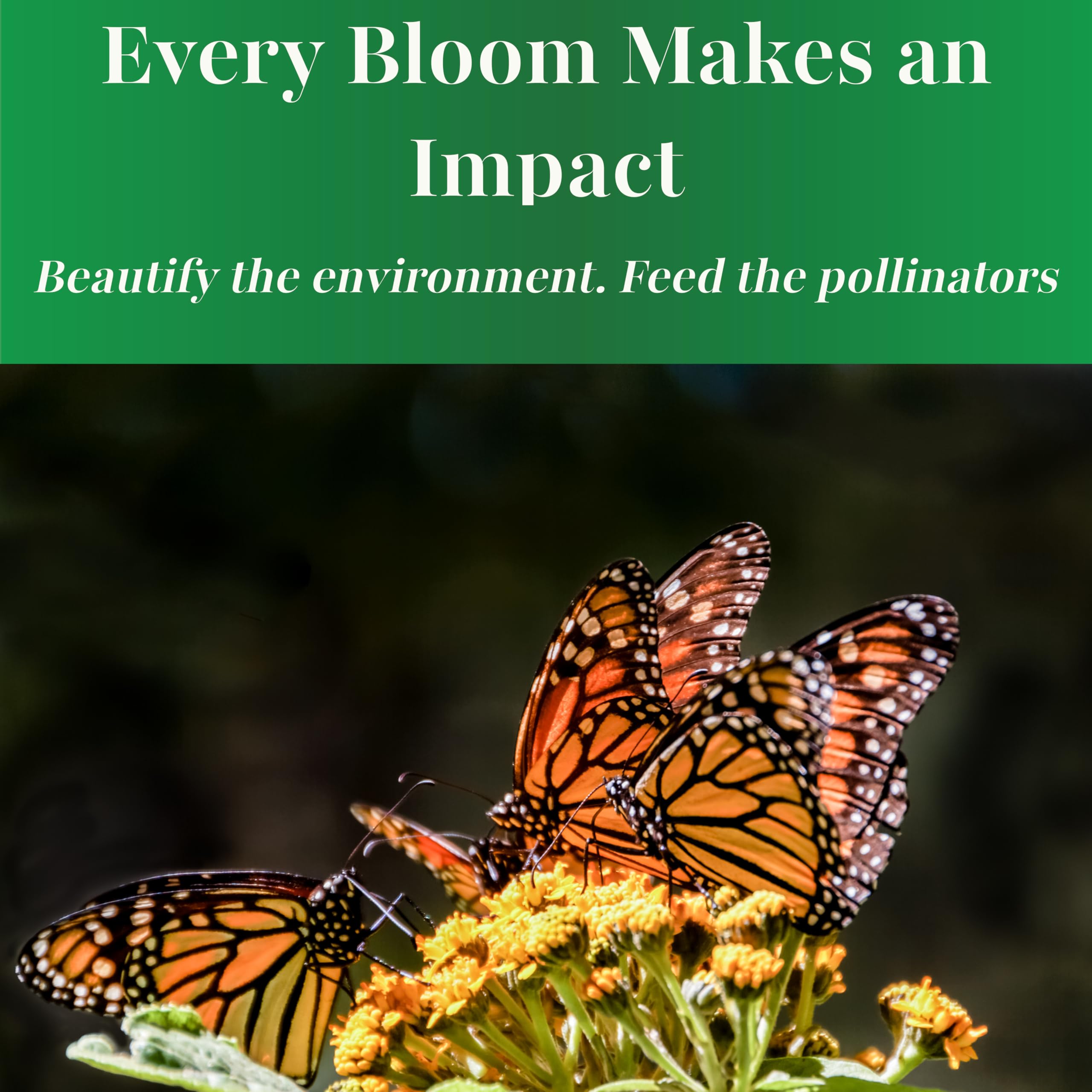 Open-pollinated, non-GMO seeds support biodiversity.