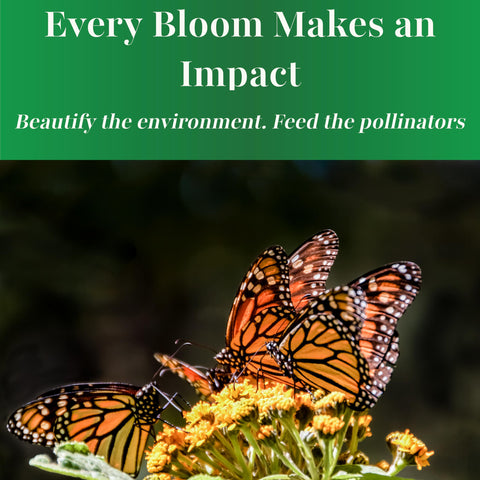 Open-pollinated, non-GMO seeds support biodiversity.