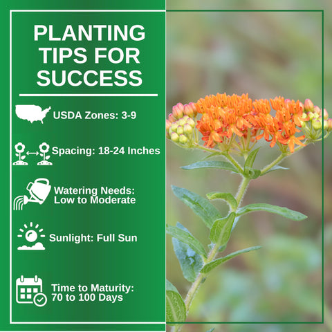 TKE Farms Butterfly Milkweed seeds show over 100 seeds for strong germination.