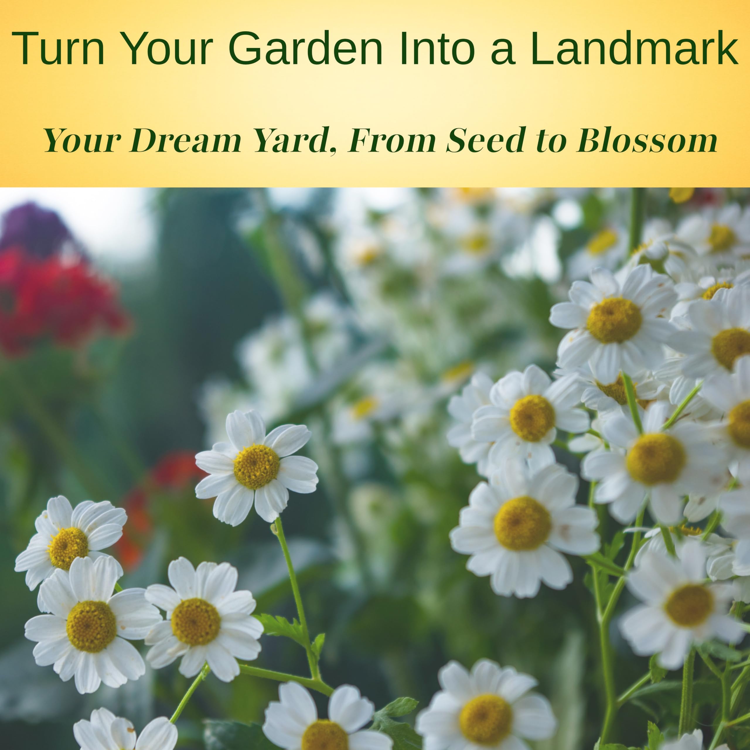 TKE Farms feverfew plants growing in containers for easy herb gardening.