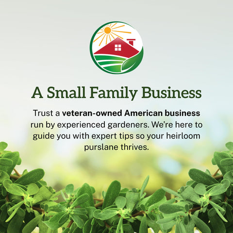 TKE Farms purslane heirloom seeds celebrate a classic garden variety