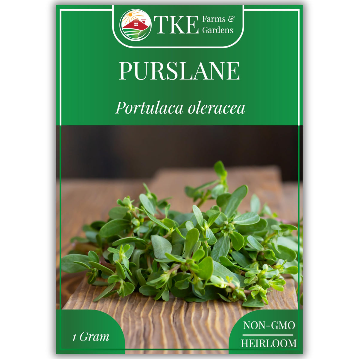 TKE Farms purslane seeds 1g pack shows high germination potential for quick growth