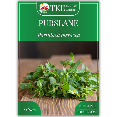 TKE Farms purslane seeds 1g pack shows high germination potential for quick growth