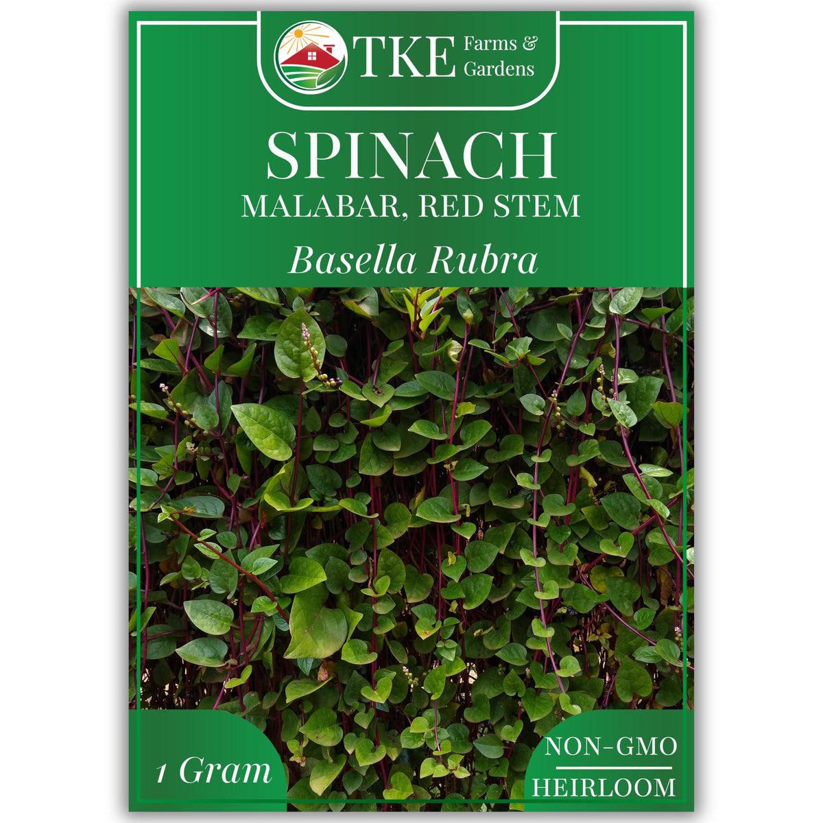 TKE Farms & Gardens Red Malabar spinach seed packet ready for planting, ideal for warm weather