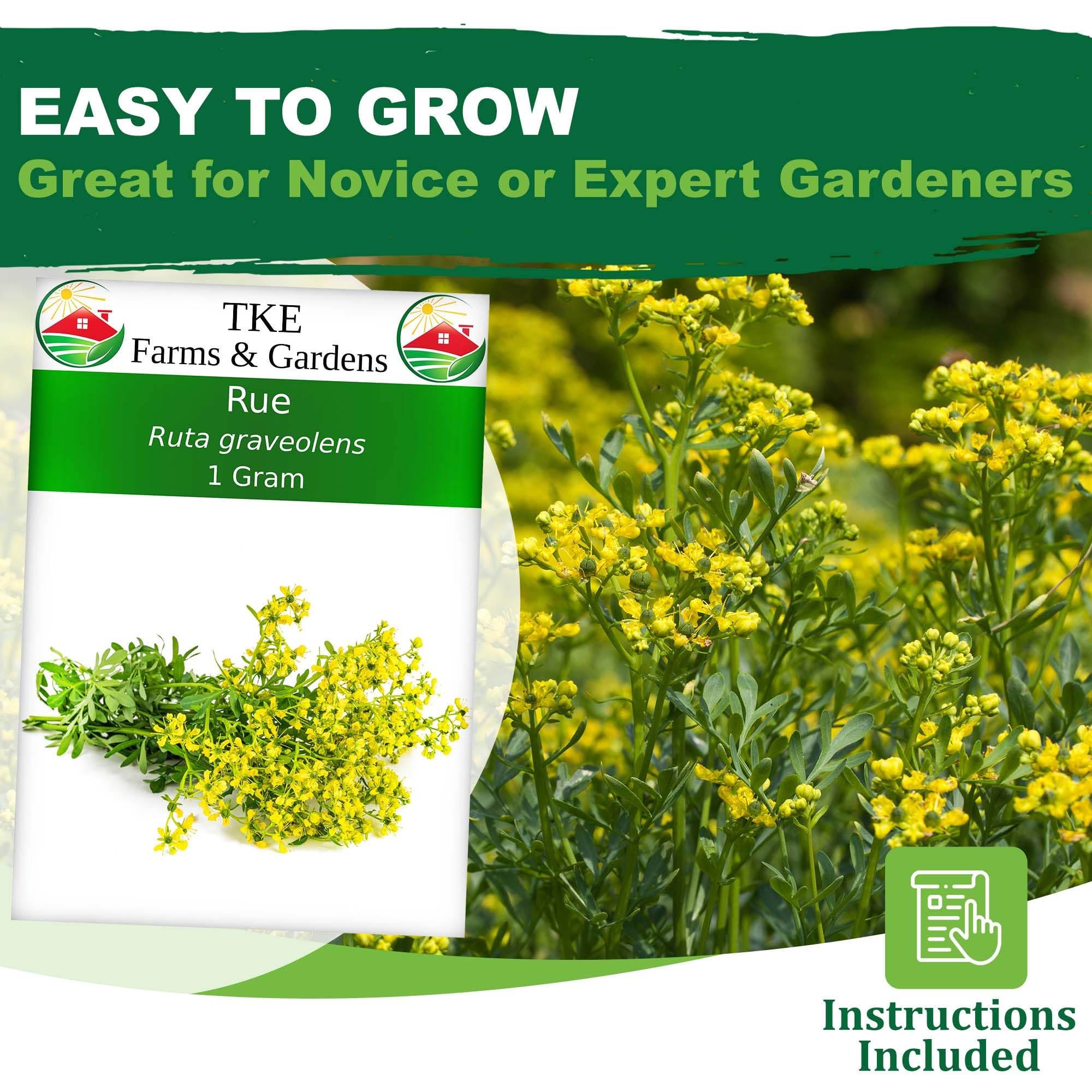 TKE Farms & Gardens Rue seeds front label with instructions