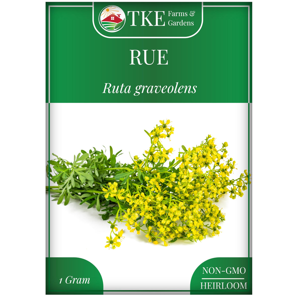 TKE Farms & Gardens Rue seeds packet close-up for easy planting