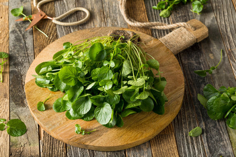 Harvest-ready greens from TKE Farms Watercress provide peppery crunch.