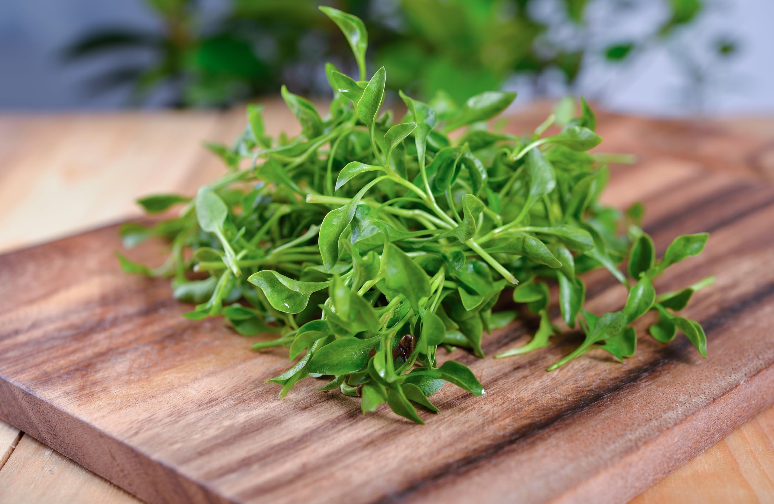 Clear planting instructions help you grow with TKE Farms Watercress.