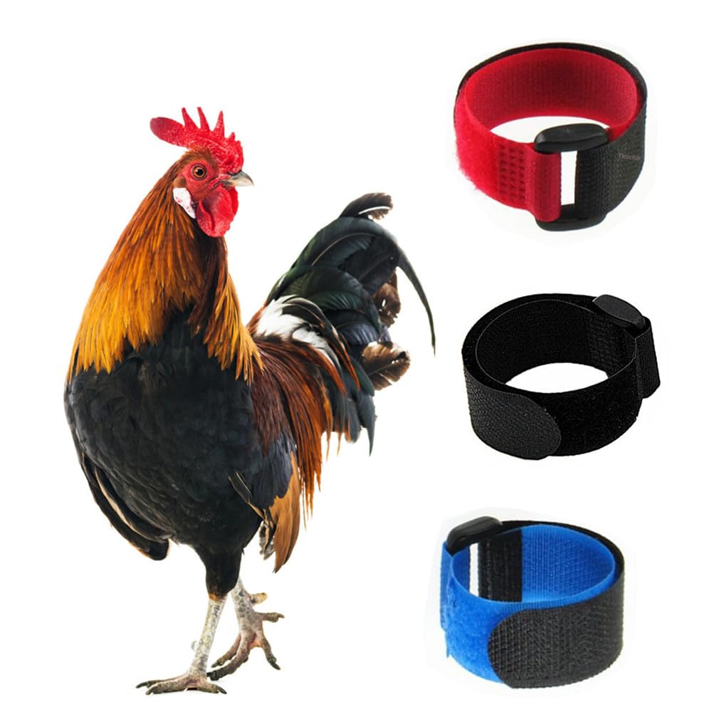 Tkocisa no-crow rooster collar set helps quiet morning crowing, reducing disturbance.