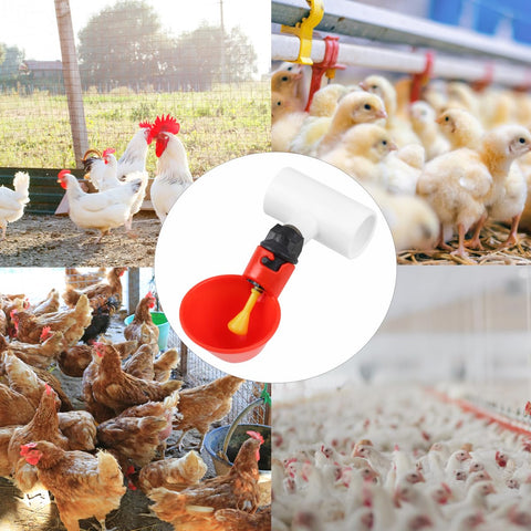 Tkocisa plastic chicken waterer cups in red color for durable use