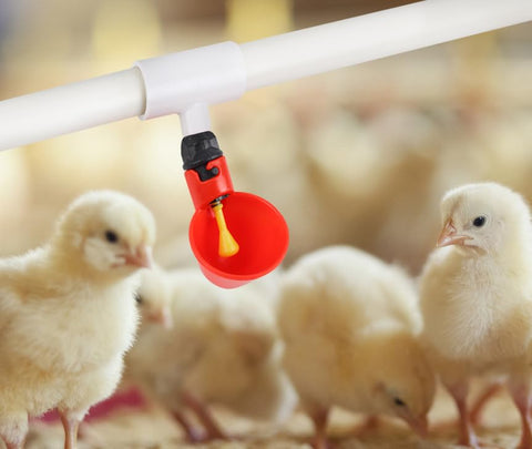 Tkocisa poultry water feeder kit showing PVC tube connection without drilling