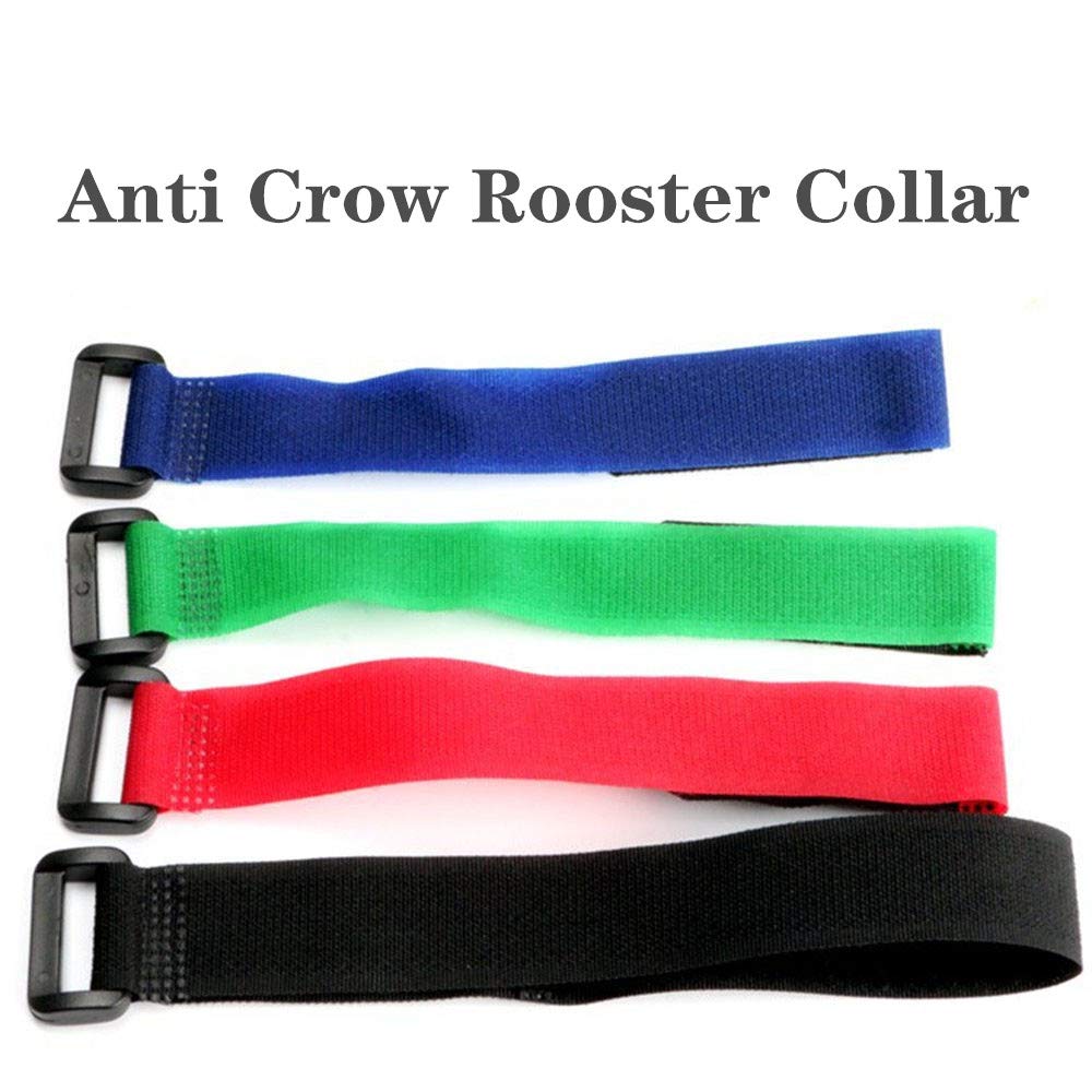 Tkocisa safe, cruelty-free anti-crow belt when fitted properly