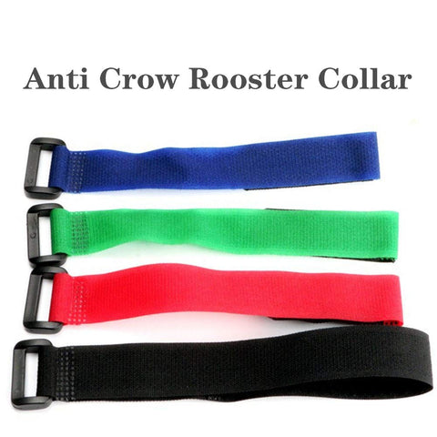 Tkocisa safe, cruelty-free anti-crow belt when fitted properly