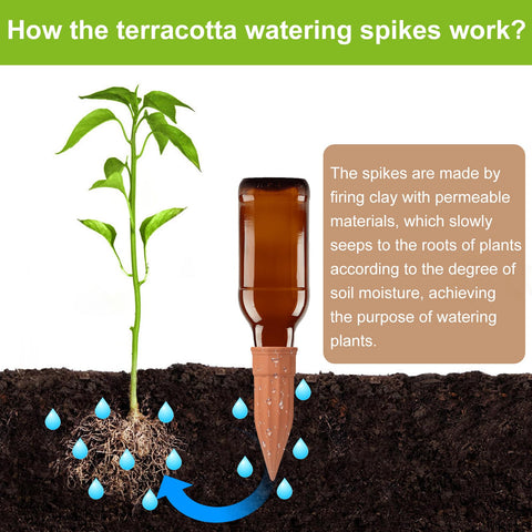 TKSCUSR self-watering spike used with long-neck bottles enables versatile watering options