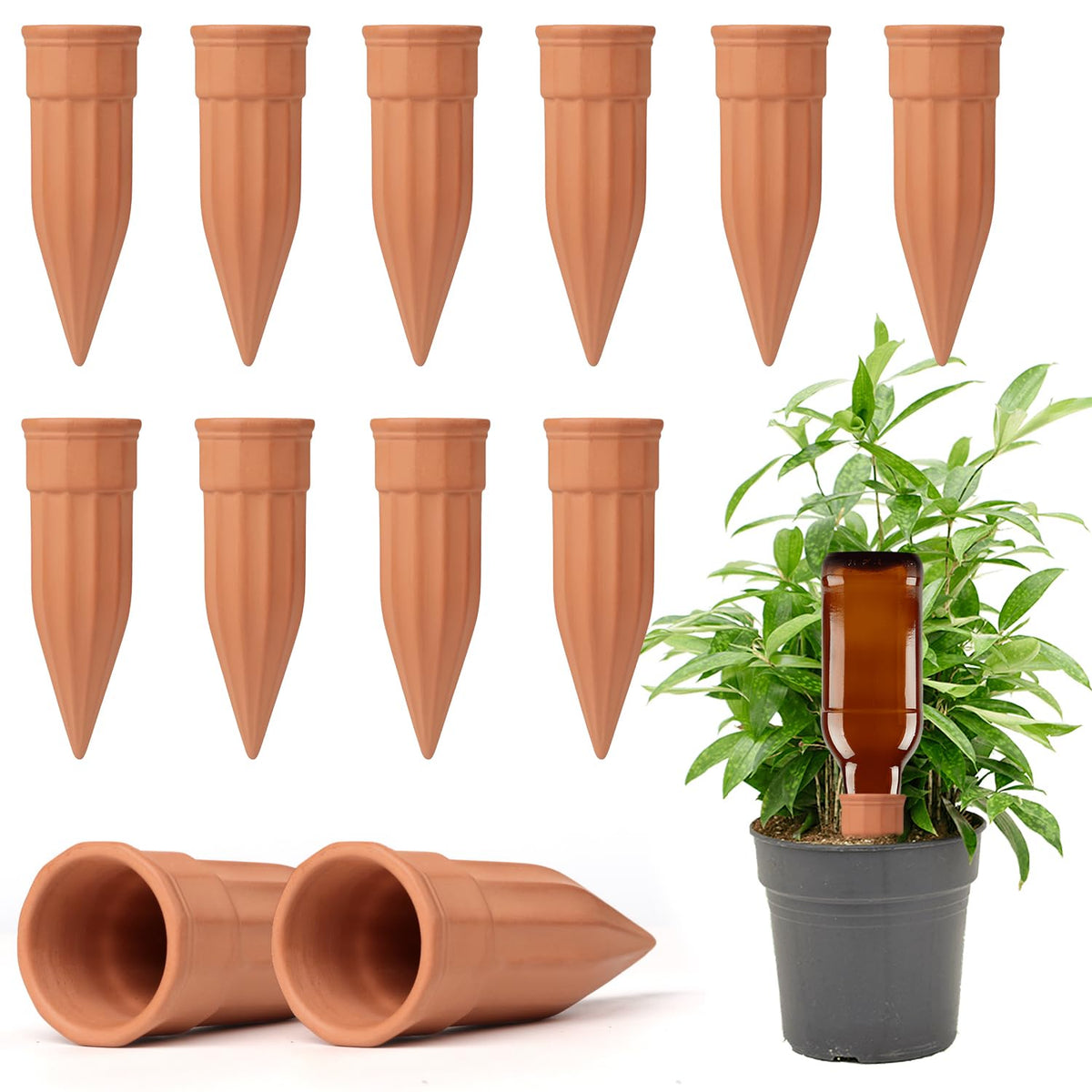 TKSCUSR self-watering spike terracotta with 12-sided concave design for steady moisture