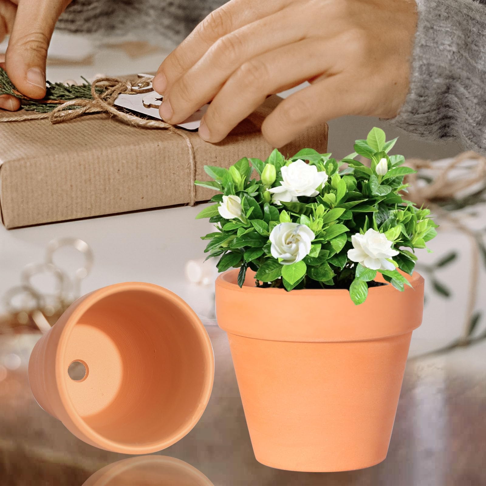 TKSCUSR terracotta pots on windowsill brighten home décor and plants.