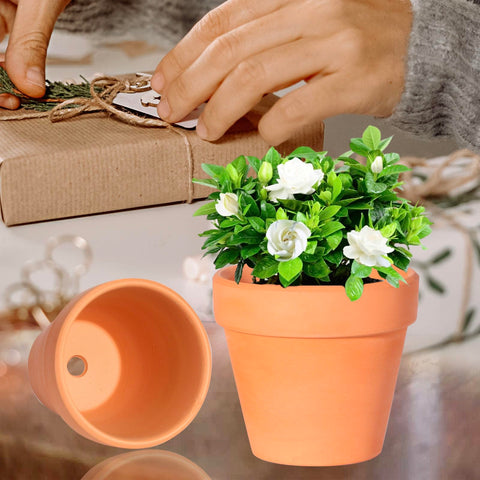 TKSCUSR terracotta pots on windowsill brighten home décor and plants.