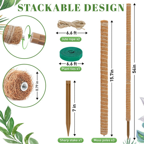 TLazz 3-pack moss poles installed in a pot for climbing growth.