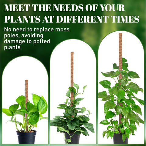 Space-saving indoor garden setup with TLazz moss poles for compact spaces.