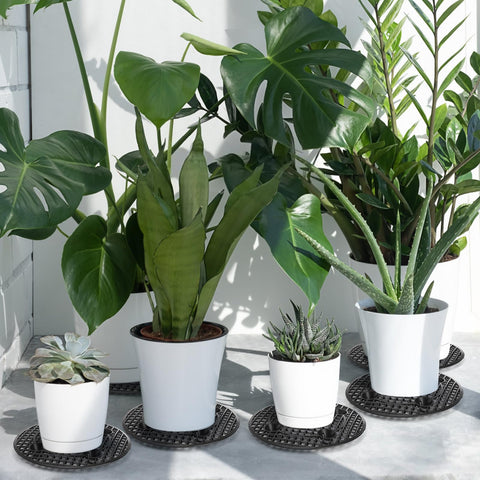 Tlence 15-pcs in use demonstrates stable planters on varied surfaces