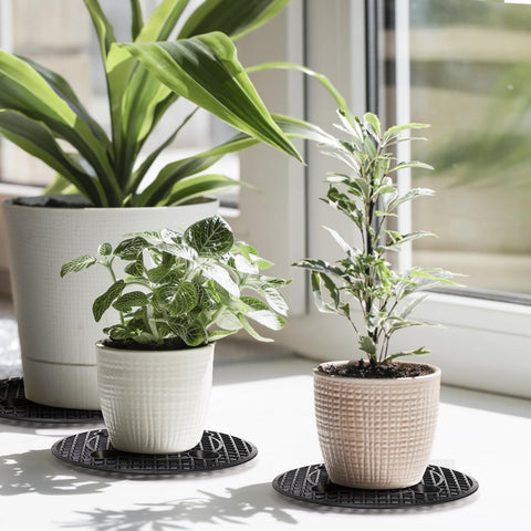 Tlence indoor outdoor garden setup illustrates easy placement on decks