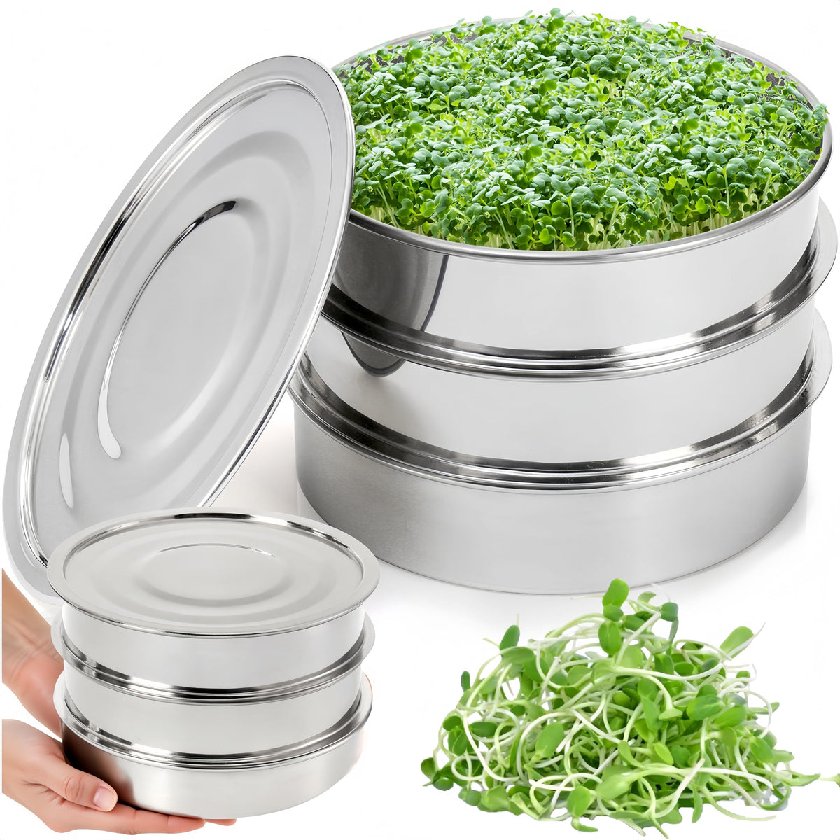 Tlence seed sprouting kit base in stainless steel for compact countertop use